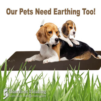 Our Pets Need Earthing Too!