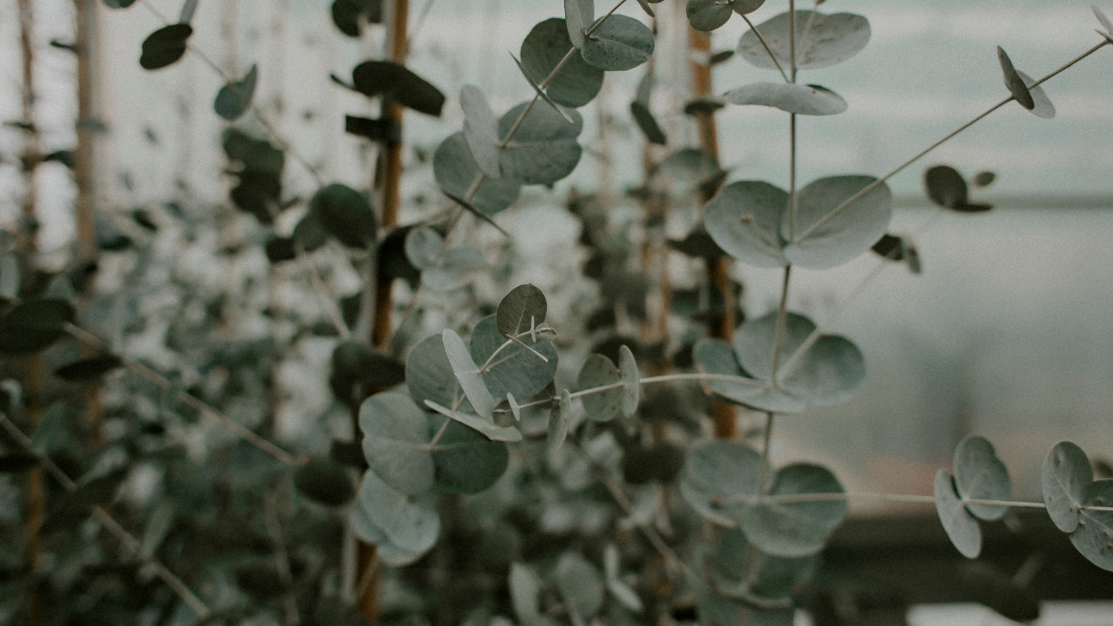 How Could Earthing Help You?
