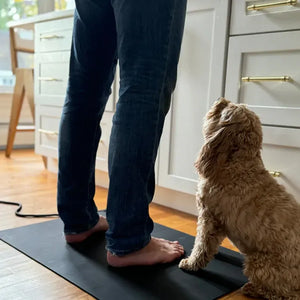 Person standing on a black mat with a dog