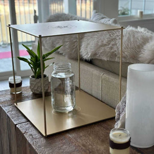 Super Quantum Bloc display with jar and plant