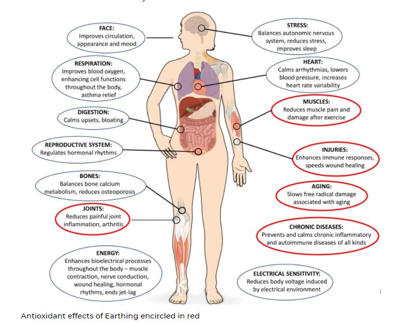 Benefits of Earthing On The Body