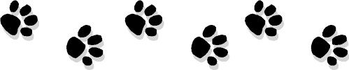 doggy prints