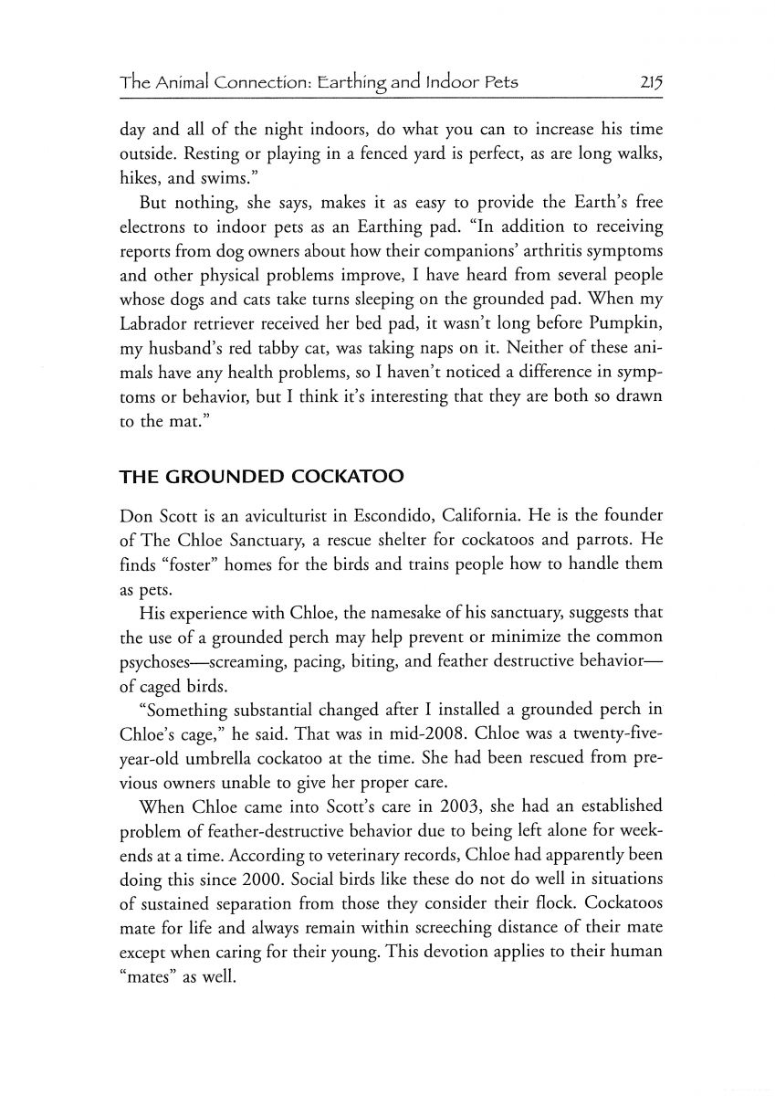 Earthing Book - Pet Excerpt 3