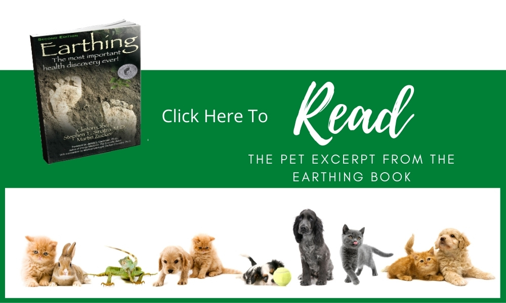 Read Pet Excerpt from Earthing Book