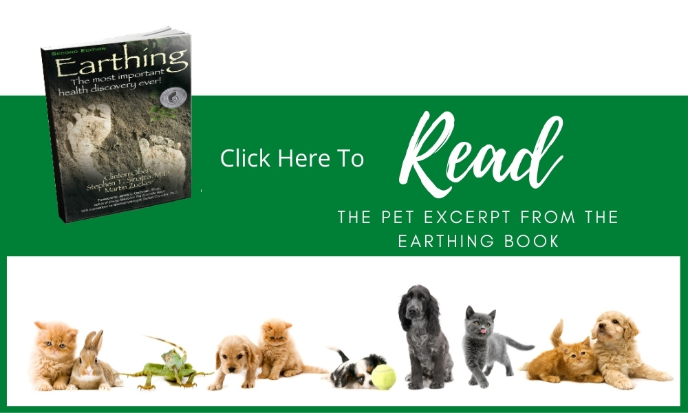 Read Pet Excerpt