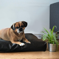 Earthing Elite Pet Bed Cover Kit
