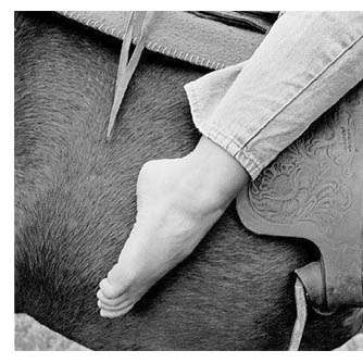 Why Horse Riding Feels So Good: It's all about the "Earth"