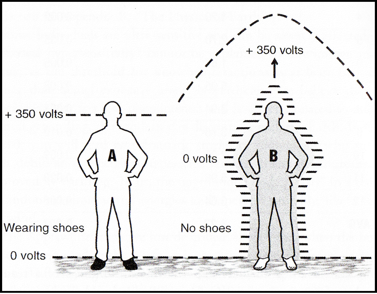 Earthing  - A simple Solution to Living the 'High Life'