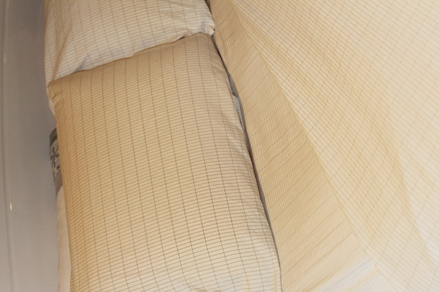Earthing Pillow Cases and Flat Sheet Review