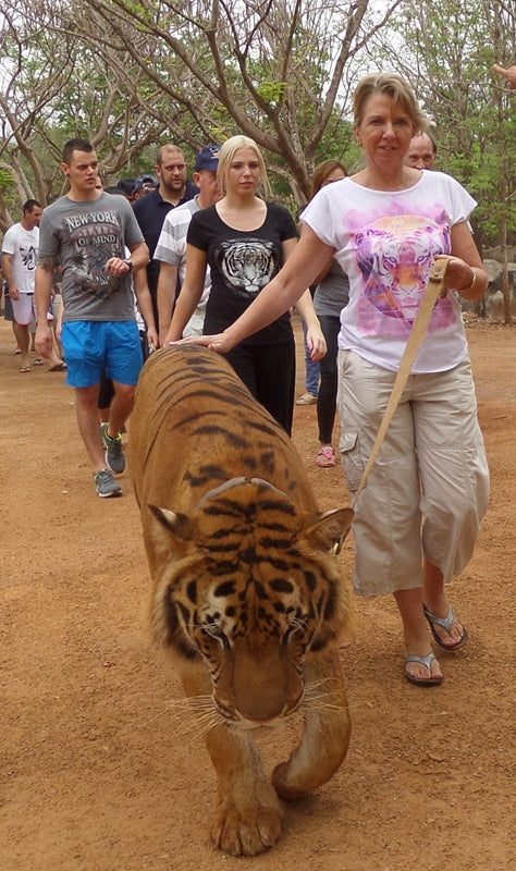 Earthing In Thailand!