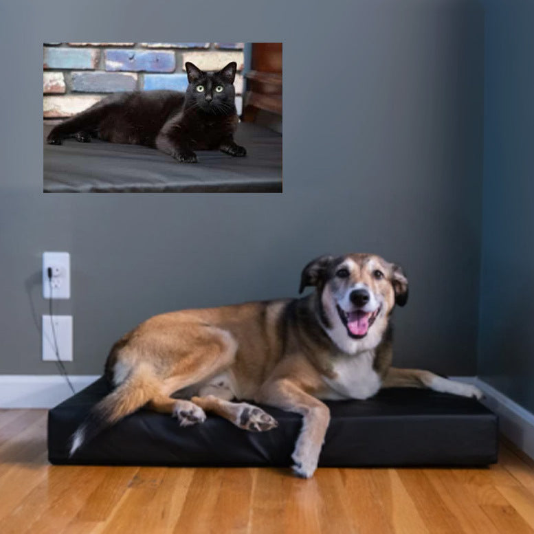 Earthing Pet Bed Cover Kit